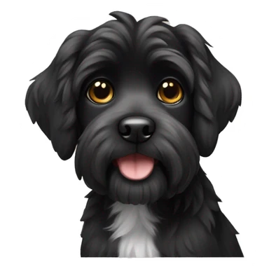 Black Havaneser dog sticker