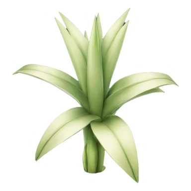Yucca sticker