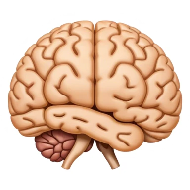 cortex pré frontal sticker