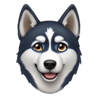Husky with a blue and a brown eye sticker