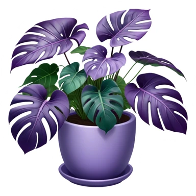 A stunning purple monstera plant with deep violet-green leaves, each leaf elegantly veined with subtle shades of purple, creating an ethereal glow. The plant is flourishing in a beautifully crafted lavender ceramic pot with intricate embossed floral patterns. The background features a softly blurred, moody violet gradient, enhancing the plant’s lush aesthetic. Delicate strands of ivy and tiny lavender blossoms cascade around the pot, adding depth and harmony. Soft, diffused lighting casts a gentle glow, emphasizing the plant’s unique coloration and creating a dreamy, artistic composition. sticker