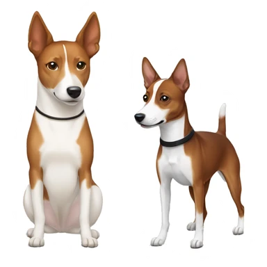 Chestnut  and white basenji with chestnut, black, and white basenji. sticker