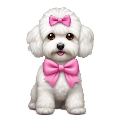white maltipoo with pink bows on the head sticker
