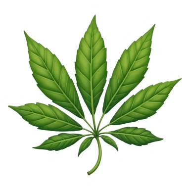 Hoja de mariguana Hoja de mariguana sticker