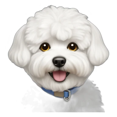 Bichon maltais feliz sticker