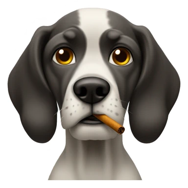 Snoopdog smoking  sticker