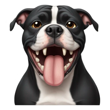 Black american bully with blunt sticker