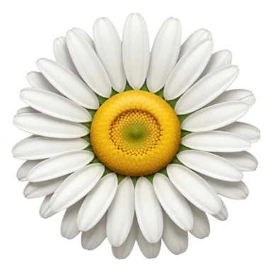 Daisy sticker