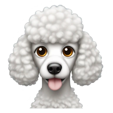It's a poodle mixed with black and white, but the fish is black and the nose is a little white, and the forehead has a flame pattern sticker