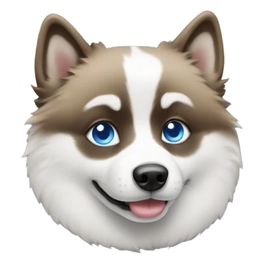 Pomsky with blue eyes sticker