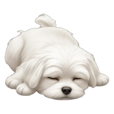 Maltese falling asleep sticker