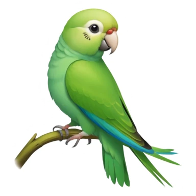 Green Quaker Parakeet sticker
