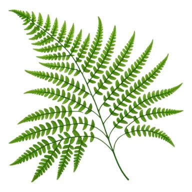 Fern sticker