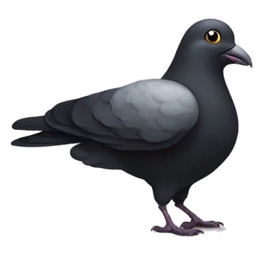 black pigeon that looks foolish and stupid holding a tea with clock in it sticker
