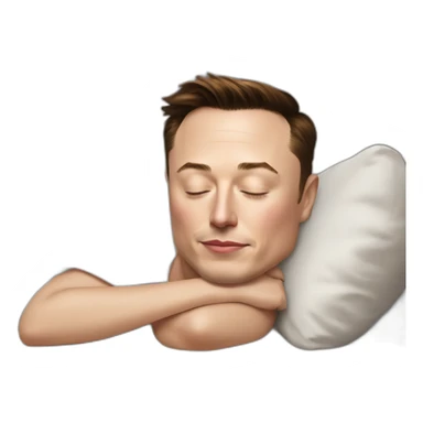 Elon Musk sleeping at Rihanna appart sticker