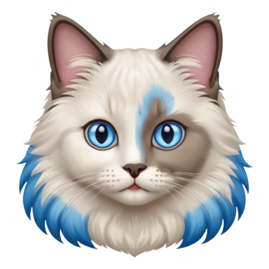 ragdoll, blue eyes, bi color sticker
