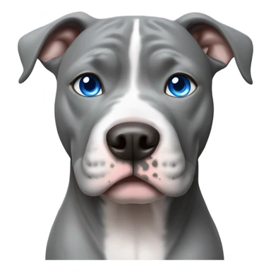 Grey pitbull with blue eyes  sticker