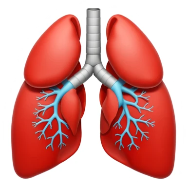 simple playful lungs sticker
