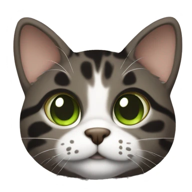 Dark brown and black and dark grey tabby dark brown black spotted with white paws cat with brown-green eyes and white neck sits sticker