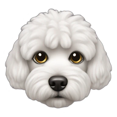 black bichon havanais sticker