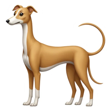 galgo sticker