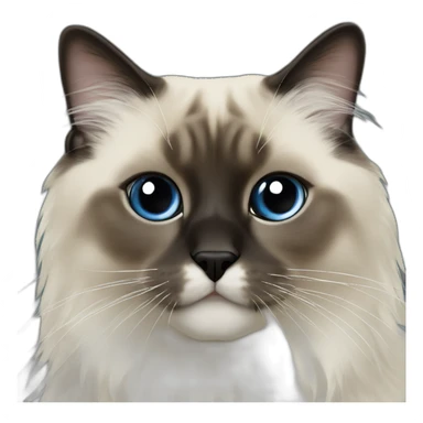 seal point ragdoll sticker