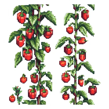 Green pepper plant with bright red bell peppers growing on stems sticker