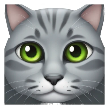 fat grey cat with green eyes sticker