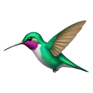 hummingbird Bird sticker