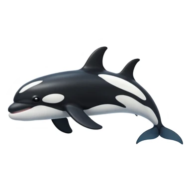 killer whale sticker
