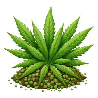 Weed only sticker