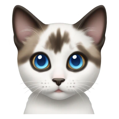 white/black/brown munchkin cat with blue eyes sticker