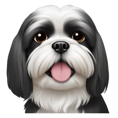 Black and white shih tzu sticker