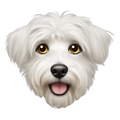 Perrito terrier tibetano blanco y ojos sticker