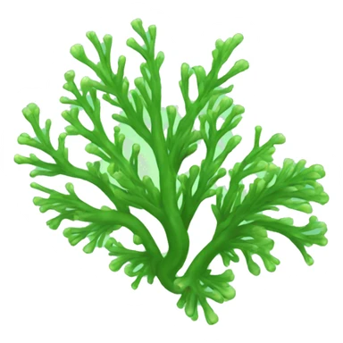 Sea algae sticker