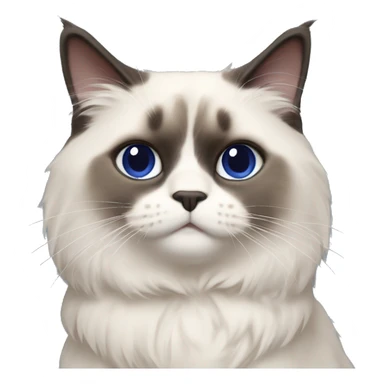 ragdoll cat wearing navy blue sweater that says poochina sticker