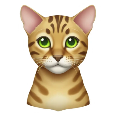 bengal cat with light green eyes  sticker