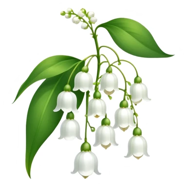 Elegant lily of the valley flower with delicate white bell-shaped blooms hanging from green stem and bright green leaves sticker
