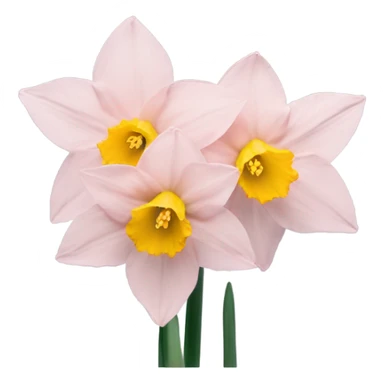 Baby pink daffodil sticker