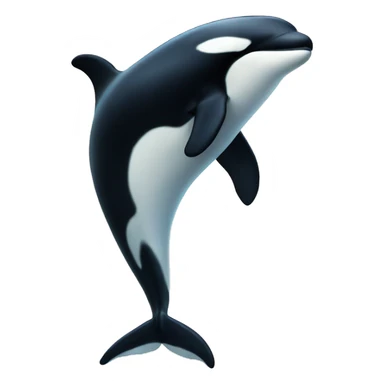 killer whale sticker