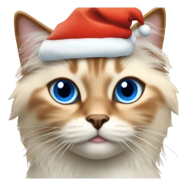 Orange bicolor ragdoll cat with blue eyes wearing a Santa hat  sticker
