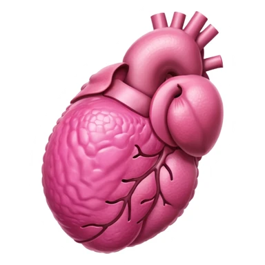 male reproductive organ sticker