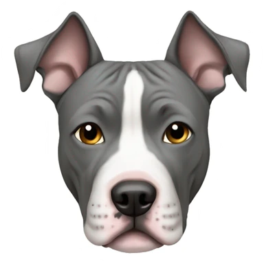 Gray American Staffordshire Terrier sticker