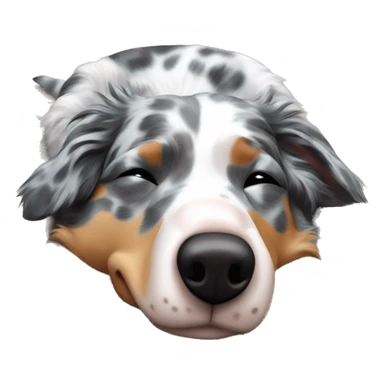 Blue Merle Australian shepherd sleeping on his back sticker