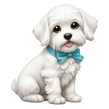 Schichon puppy with bow sticker