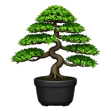 Bonsai Tree – Miniature tree in small pot, trimmed carefully, black pot sticker