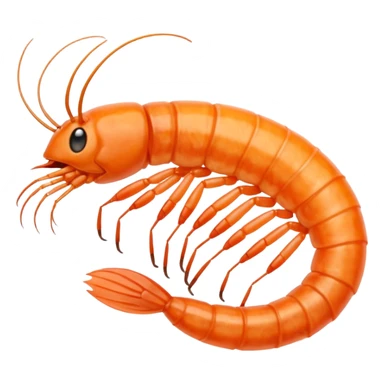 five dried shrimp, curled, visible texture, legs, antennae, dry translucent surface, pale orange to light reddish-brown, sun-dried, no bowl, packaging, or faces, clean 3D, soft lighting, transparent background, emoji scale sticker