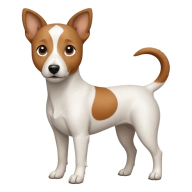a fully white jack russell the size of a kelpie with light brown ears and a light brown patch on one eye sticker