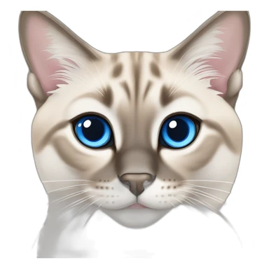 lynx-point-siamese-cat-blue-eyes sticker