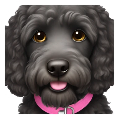 Black labradoodle female dog with a pink collar on with the name Bonnie sticker